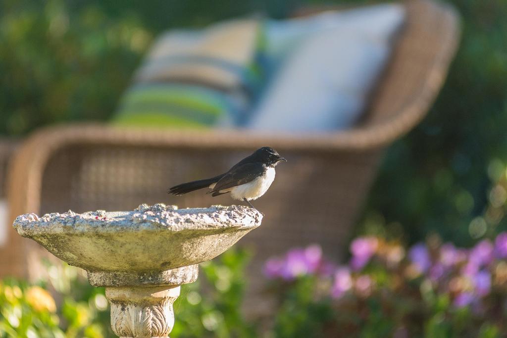 Abelia House Bed & Breakfast Byron Bay Exterior foto
