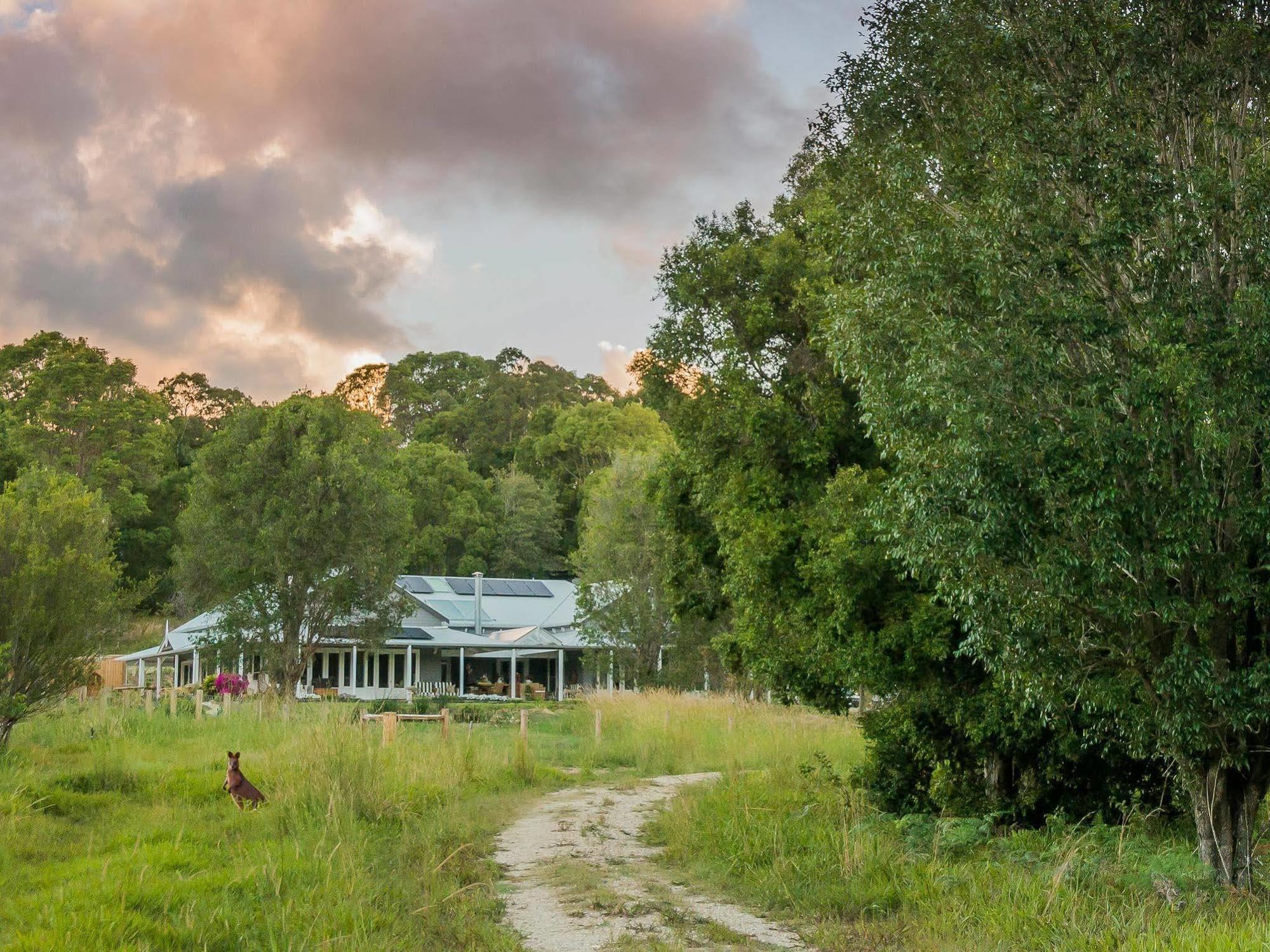 Abelia House Bed & Breakfast Byron Bay Exterior foto