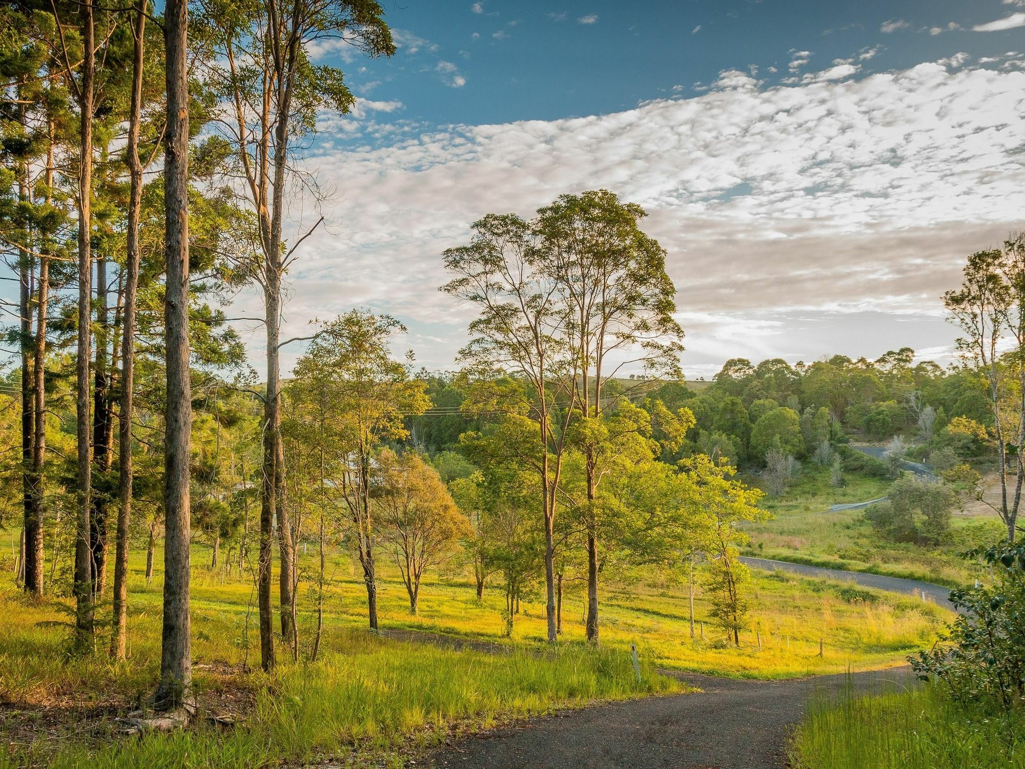 Abelia House Bed & Breakfast Byron Bay Exterior foto
