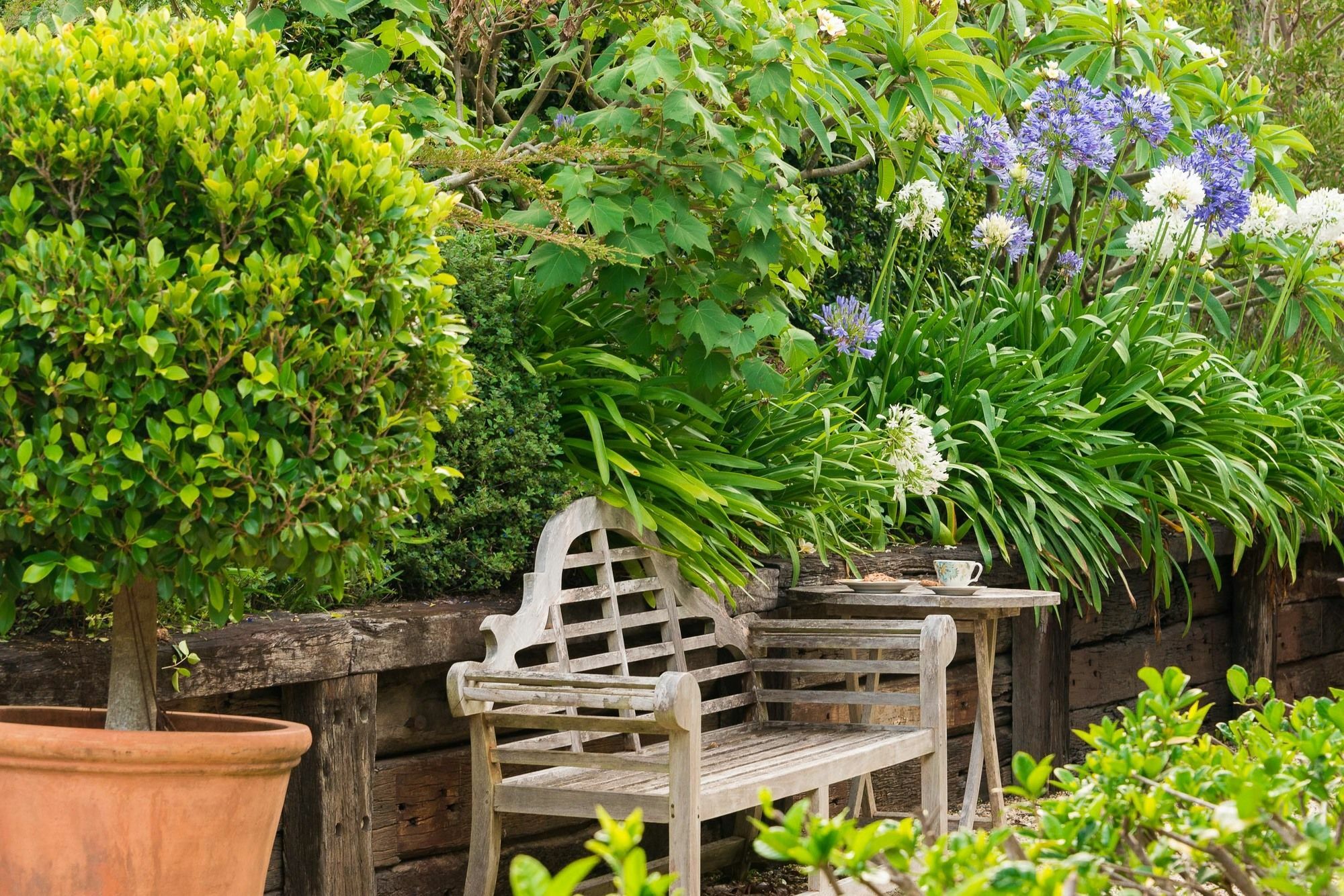 Abelia House Bed & Breakfast Byron Bay Exterior foto